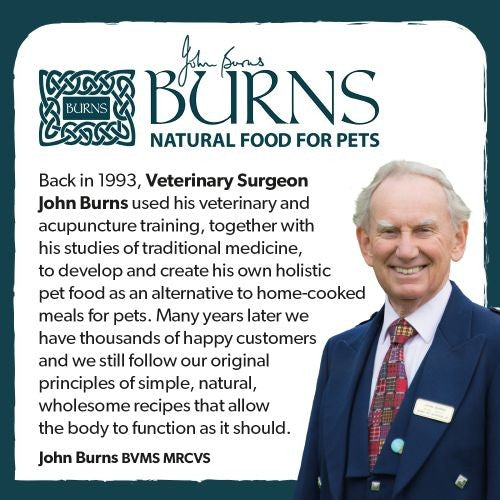 Burns Original with Chicken Puppy Food 2kg