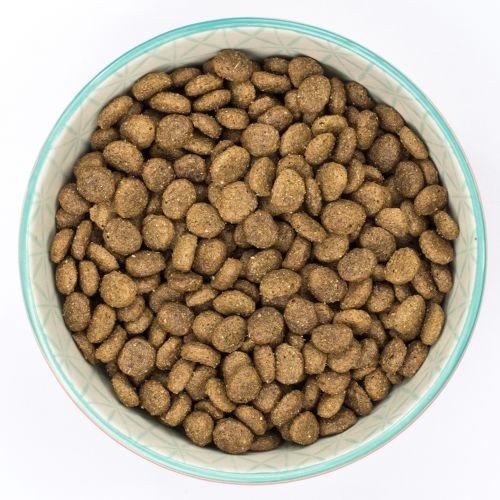 Burns Mini with Chicken Puppy Food 6kg