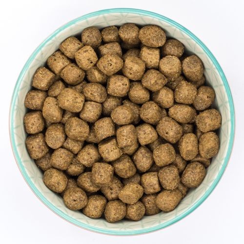 Burns Sensitive+ with Duck Adult Dog Food 2kg