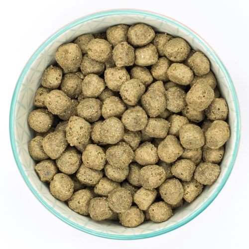 Burns Sensitive+ with Pork Adult Dog Food 2kg