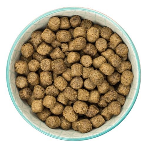 Burns Dog Food Original Chicken & Brown Rice 6KG
