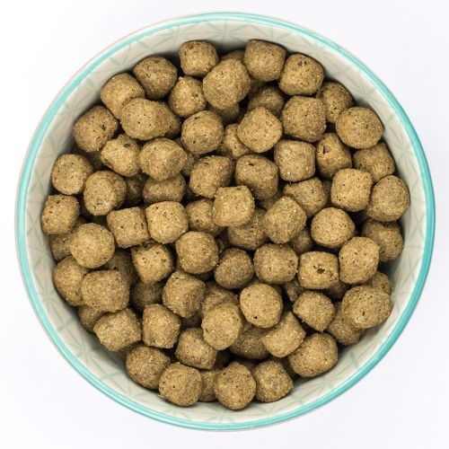 Burns Dog Original Lamb & Brown Rice 6KG