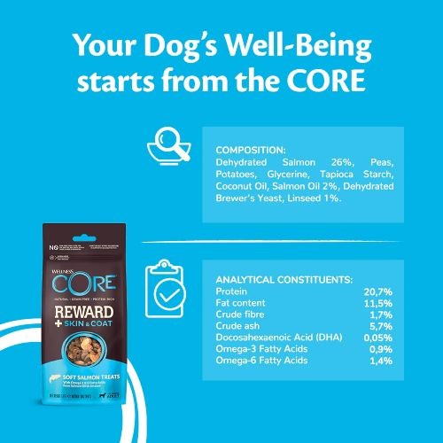 Wellness Core Reward+ Dog Treats for Skin & Coat with Salmon - 170g