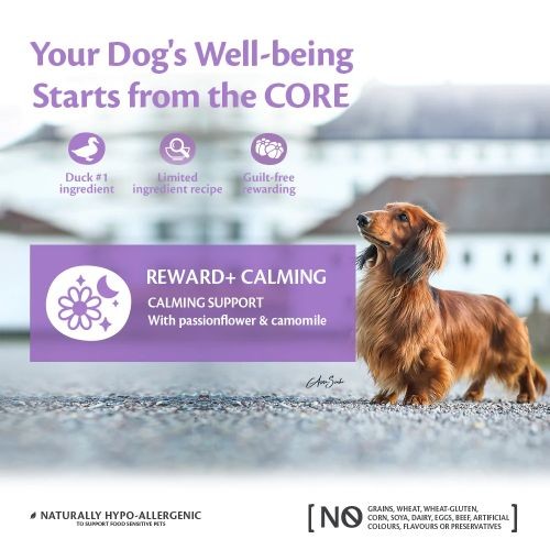 Wellness Core Reward+ Calming Dog Treats with Duck - 170g