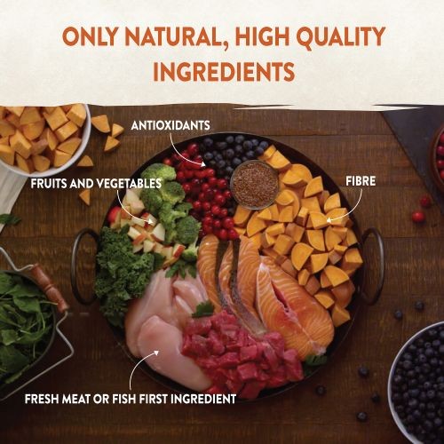 Wellness Core Small Breed Savoury Medleys Farmer Selection Multipack Wet Adult Dog Food 6 x 85g