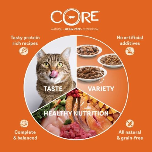 Wellness CORE Tender Cuts Turkey Selection Multipack Wet Adult Cat Food 6 x 85g