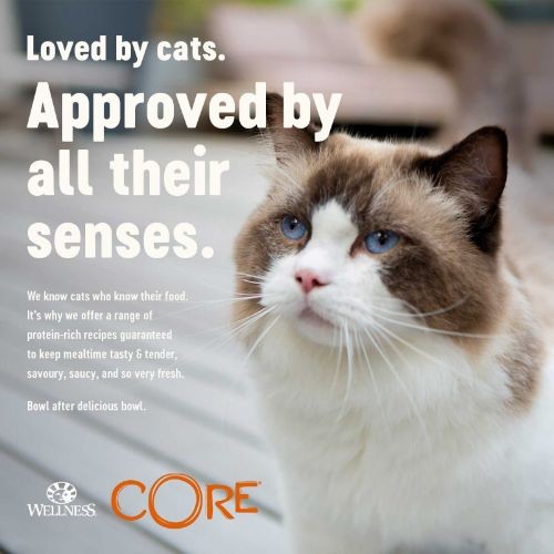 Wellness CORE Tender Cuts Turkey Selection Multipack Wet Adult Cat Food 6 x 85g