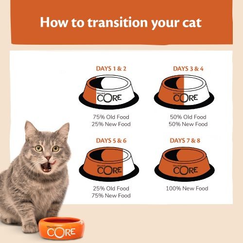 Wellness CORE Tender Cuts Turkey Selection Multipack Wet Adult Cat Food 6 x 85g