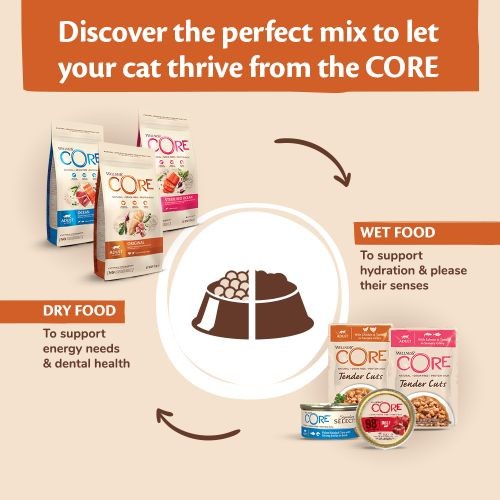 Wellness CORE Tender Cuts Turkey Selection Multipack Wet Adult Cat Food 6 x 85g