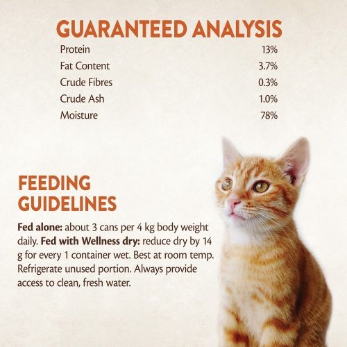 Wellness CORE Tender Cuts Turkey Selection Multipack Wet Adult Cat Food 6 x 85g