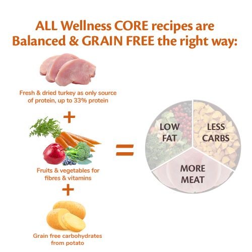 Wellness CORE Small Breed Low Fat Turkey Grain Free Adult Dry Dog Food 5kg