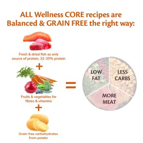 Wellness CORE Grain Free Dry Puppy Food for Large Breeds Chicken 2.75kg