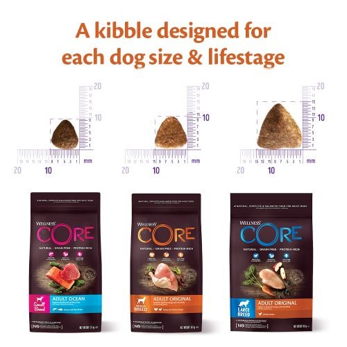 Wellness CORE Ocean Fish Salmon and Tuna Grain Free Adult Dry Dog Food 1.8kg