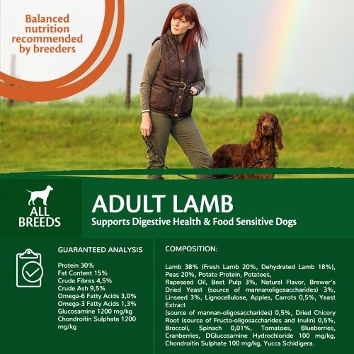 Wellness CORE Adult Lamb Grain Free Dry Dog Food 10kg