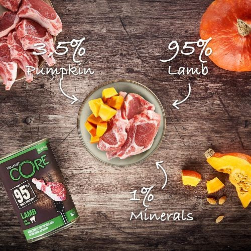 Wellness Core 95% Lamb with Pumpkin Wet Adult Grain Free Dog Food 6 x 400g