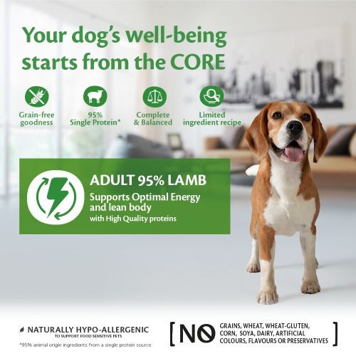 Wellness Core 95% Lamb with Pumpkin Wet Adult Grain Free Dog Food 6 x 400g