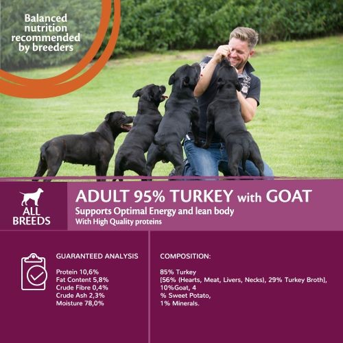 Wellness Core Wet Dog Food Can with 95% Turkey and Goat with Sweet Potato 6 x 400g
