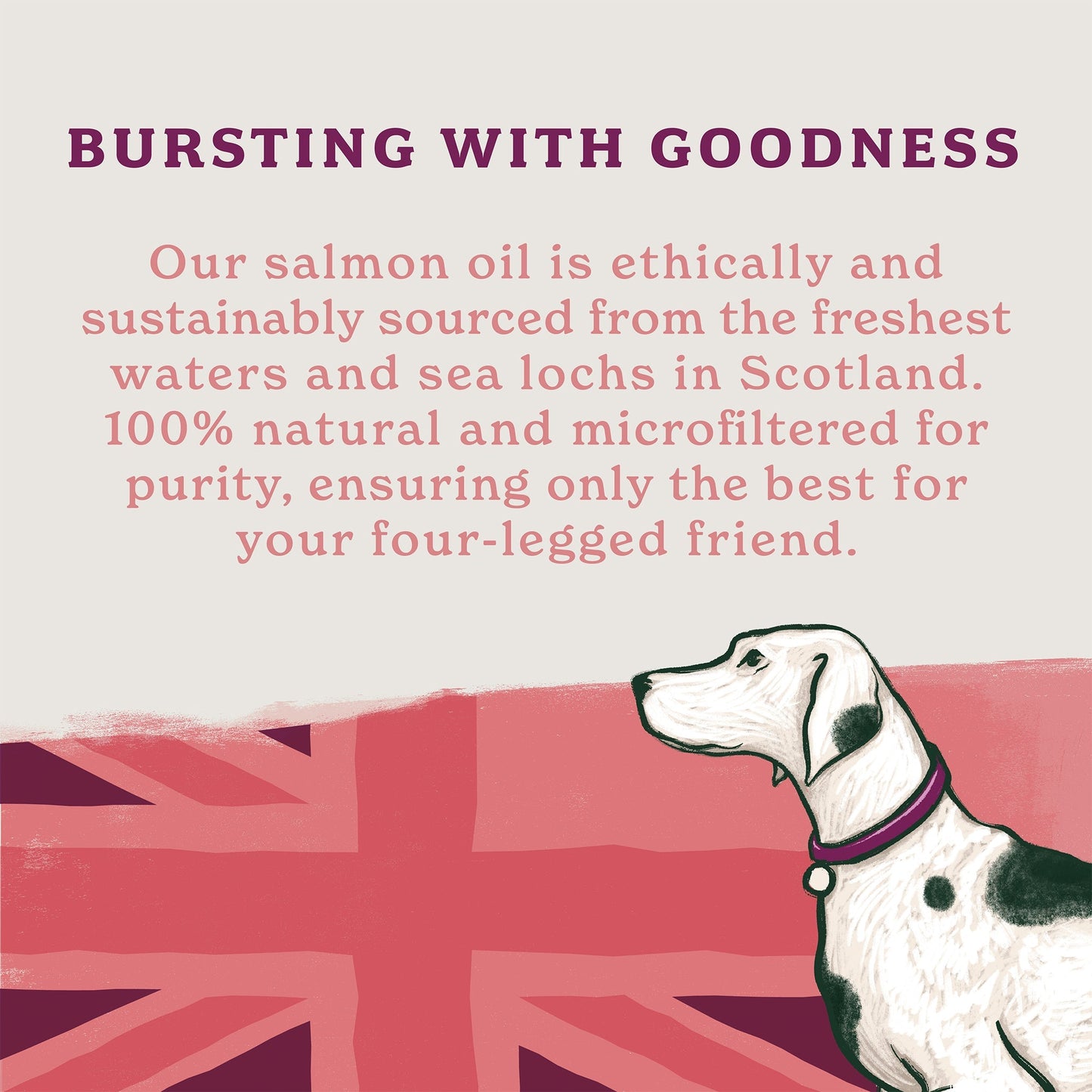 100% Natural Scottish Salmon Oil (1 x 500ml)