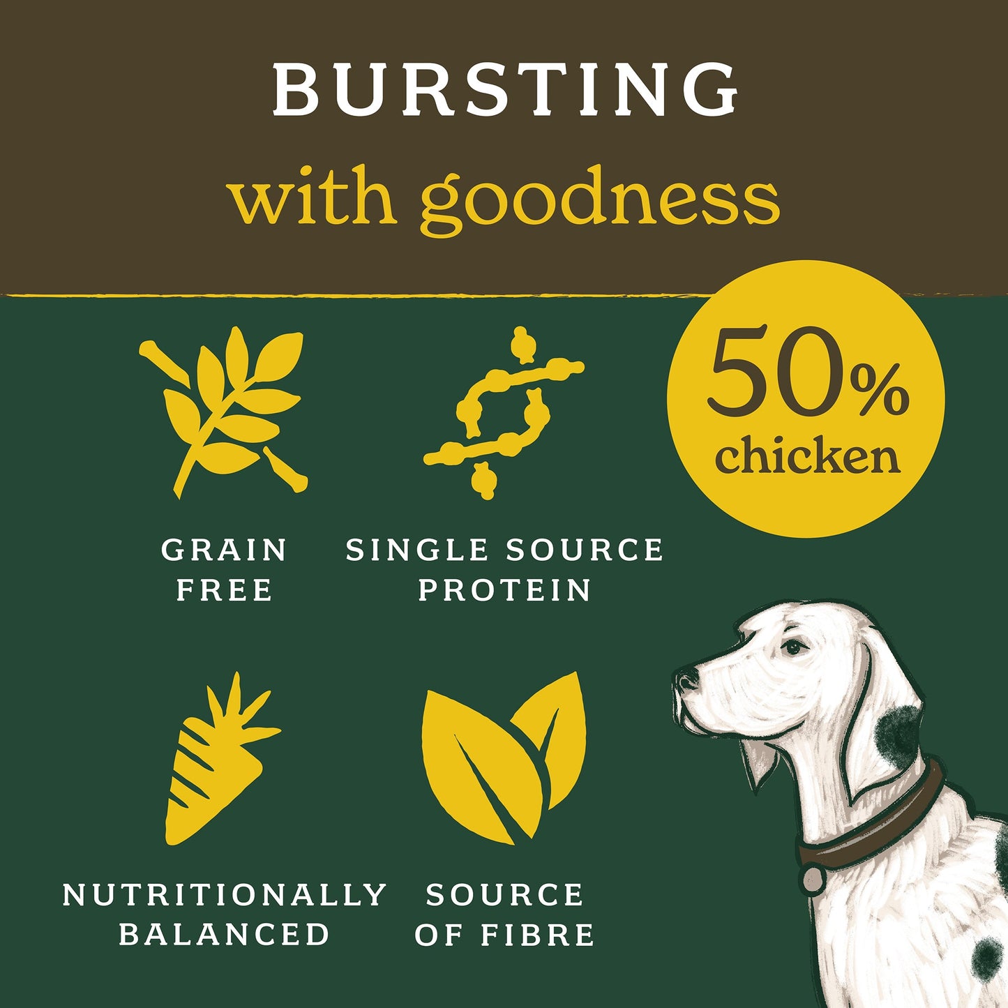 Grain-Free Chicken Mixed Food Bundle