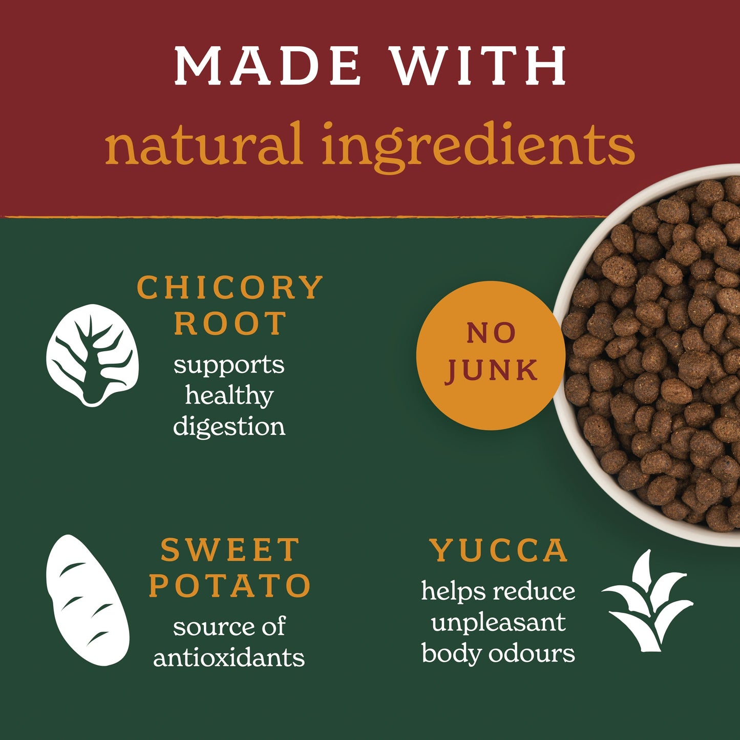 Turkey Lightly Baked Natural Dry Dog Food