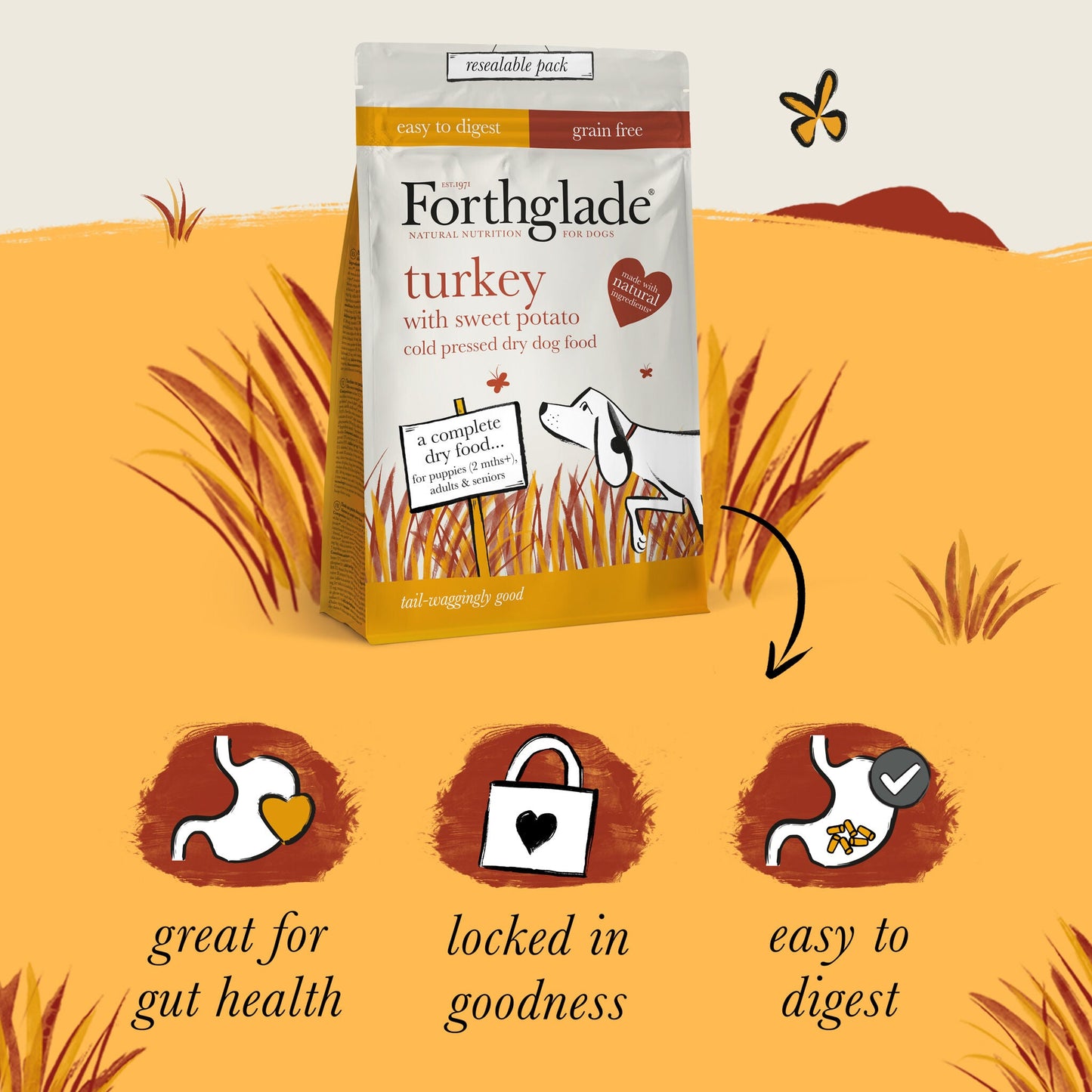 Turkey Natural Dry Cold Pressed Grain Free Dog Food