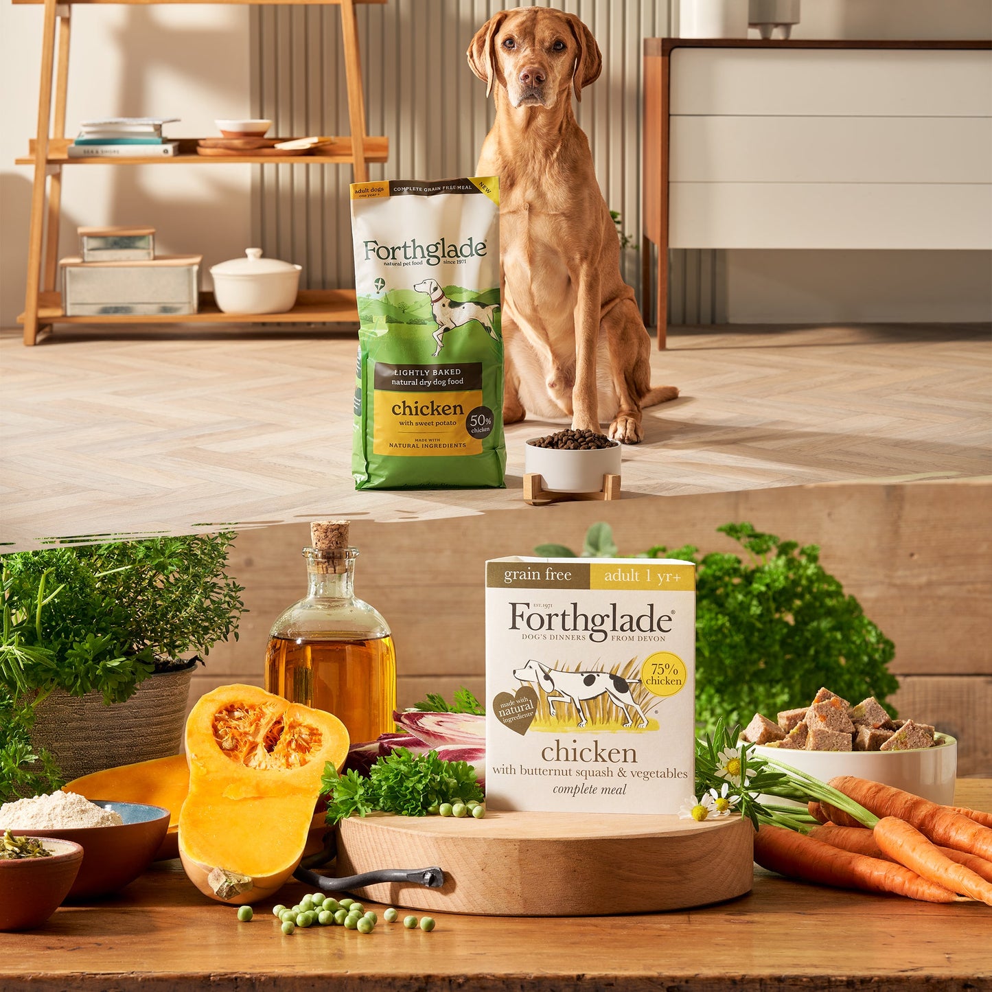 Grain-Free Chicken Mixed Food Bundle