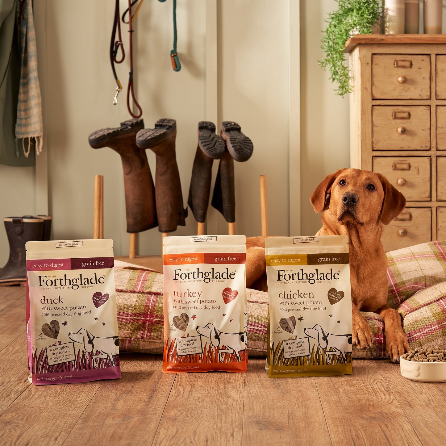Poultry Cold Pressed Dry Food Flavour Bundle (3 x 6kg)