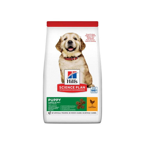 Hill's Science Plan Puppy Large Breed Dry Dog Chicken 12kg