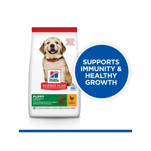 Hill's Science Plan Puppy Large Breed Dry Dog Chicken 12kg