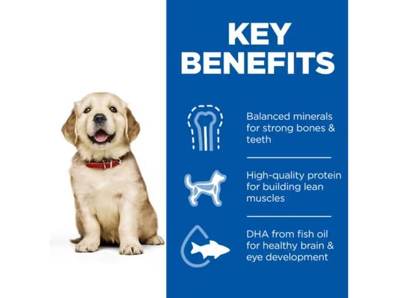 Hill's Science Plan Puppy Large Breed Dry Dog Chicken 12kg