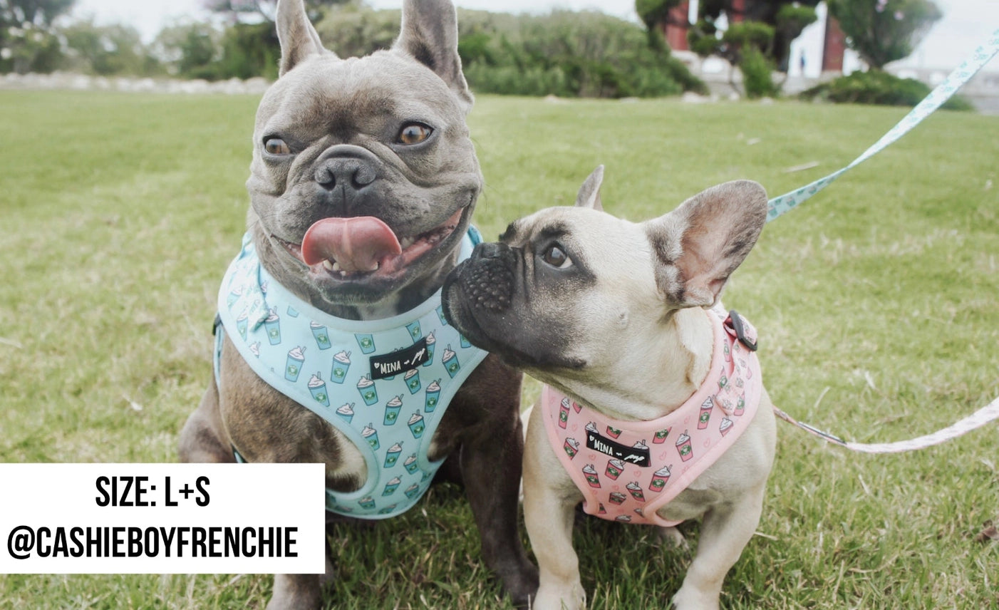 Pink Pupshake Adjustable Dog or Cat Harness