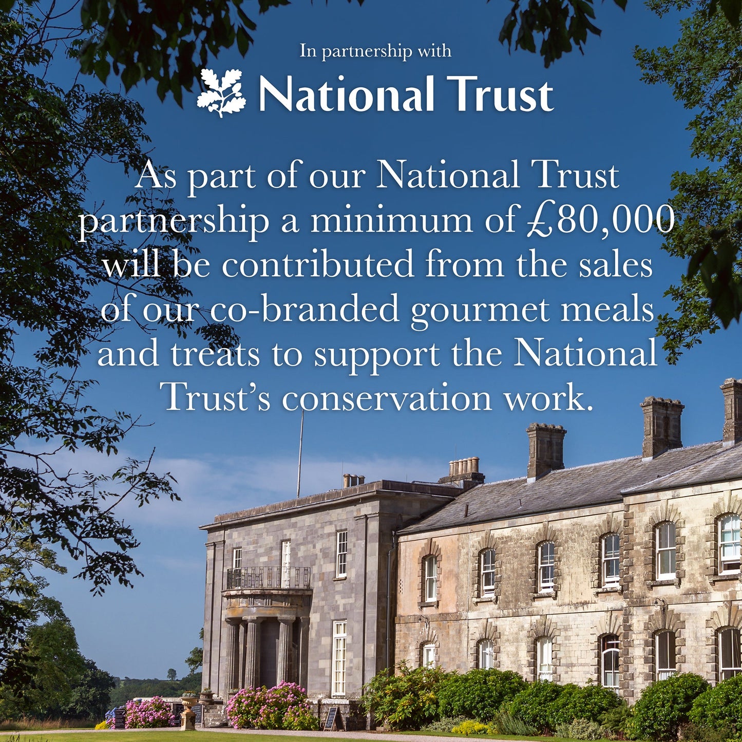 National Trust Gourmet Chicken & Duck Natural Wet Dog Food