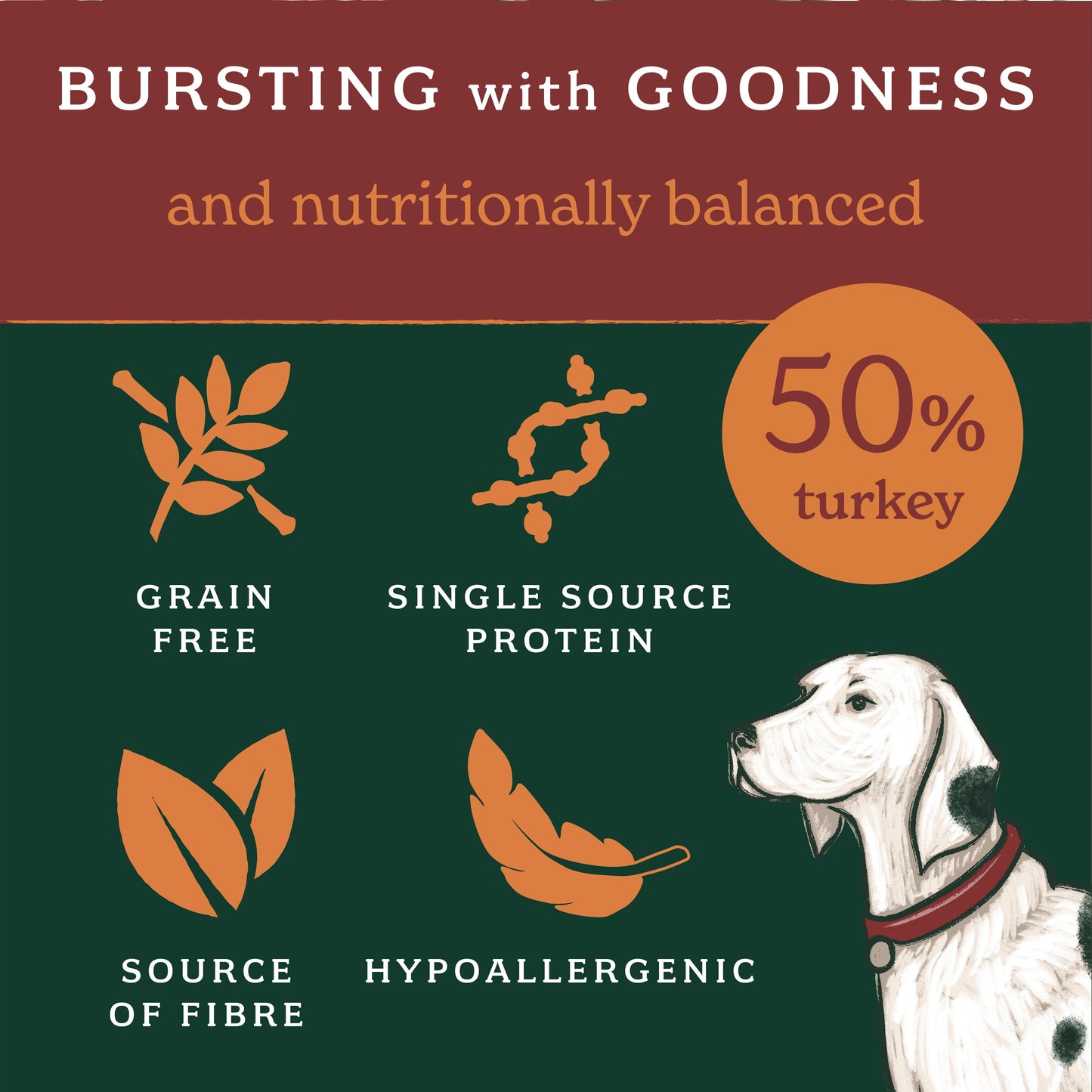 Turkey Lightly Baked Natural Dry Dog Food
