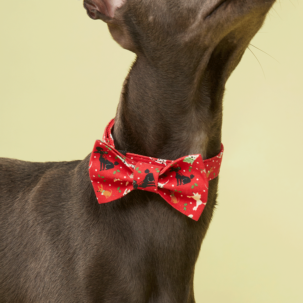 DOG BOW TIE - FESTIVE RED PRINT