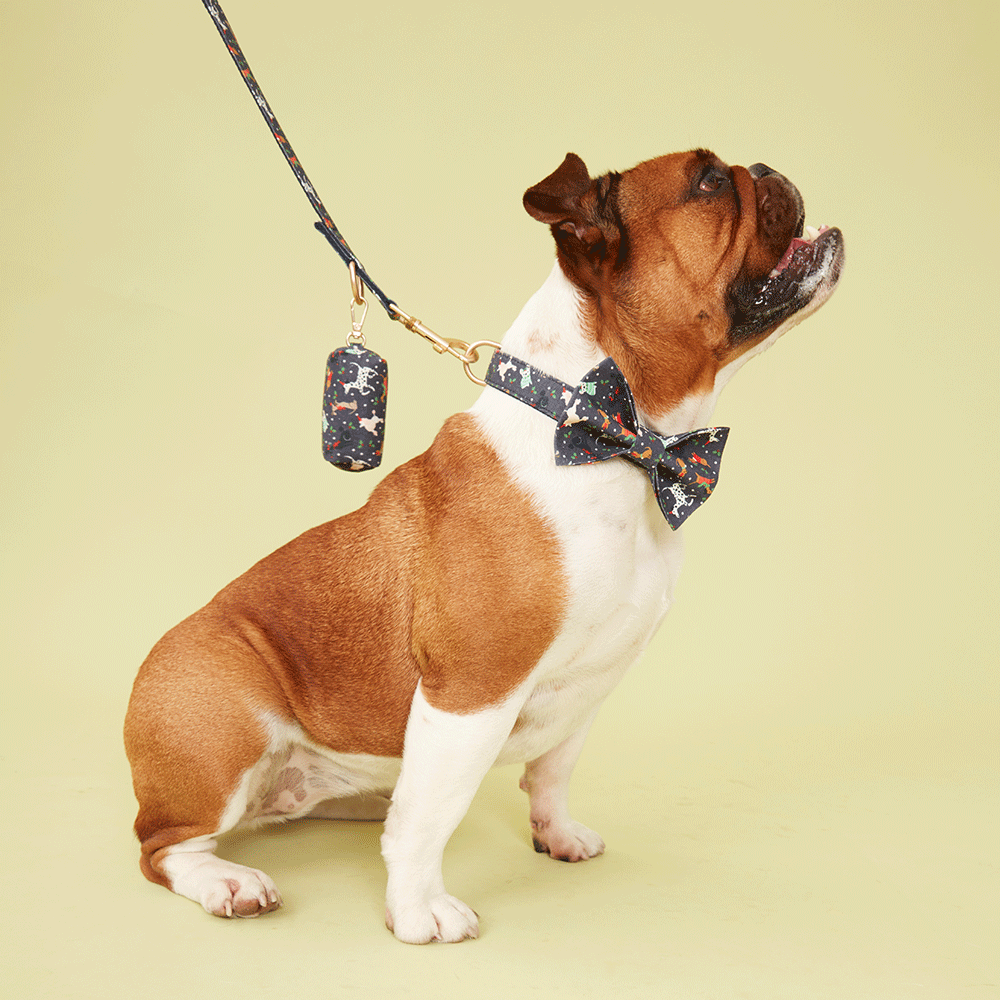 DOG COLLAR - FESTIVE NAVY PRINT