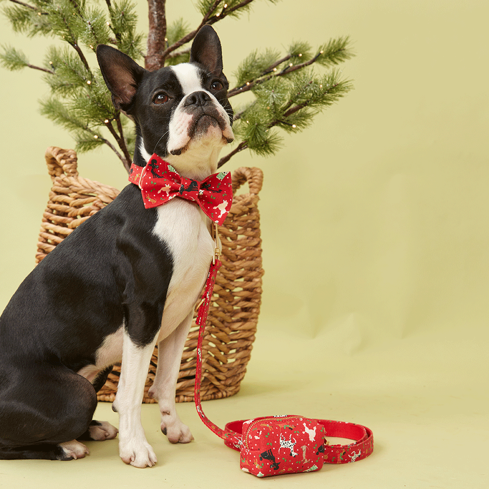 DOG BOW TIE - FESTIVE RED PRINT