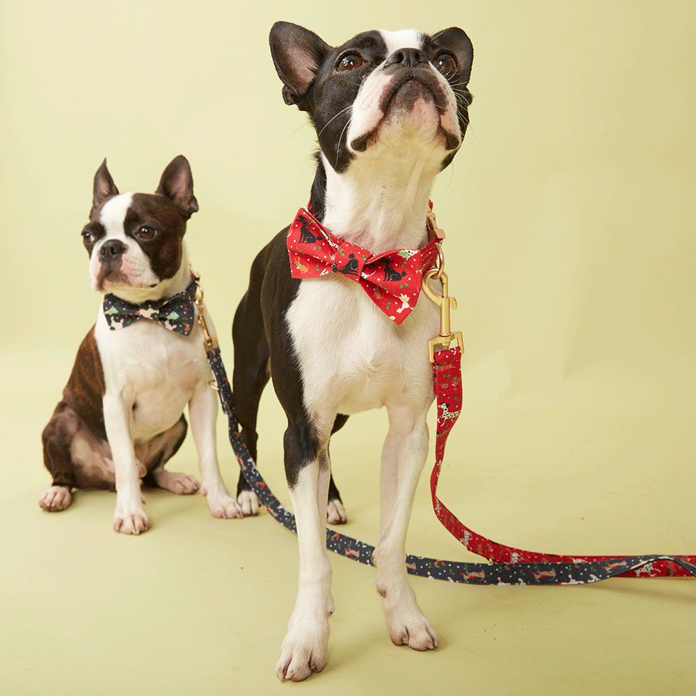 DOG BOW TIE - FESTIVE NAVY PRINT