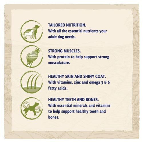 Beta Adult Dry Dog Food with Turkey & Lamb 14kg