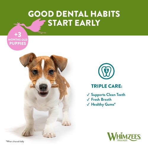 Whimzees Puppy Stixx Value Bag Dog Treats M/L 14 Pack