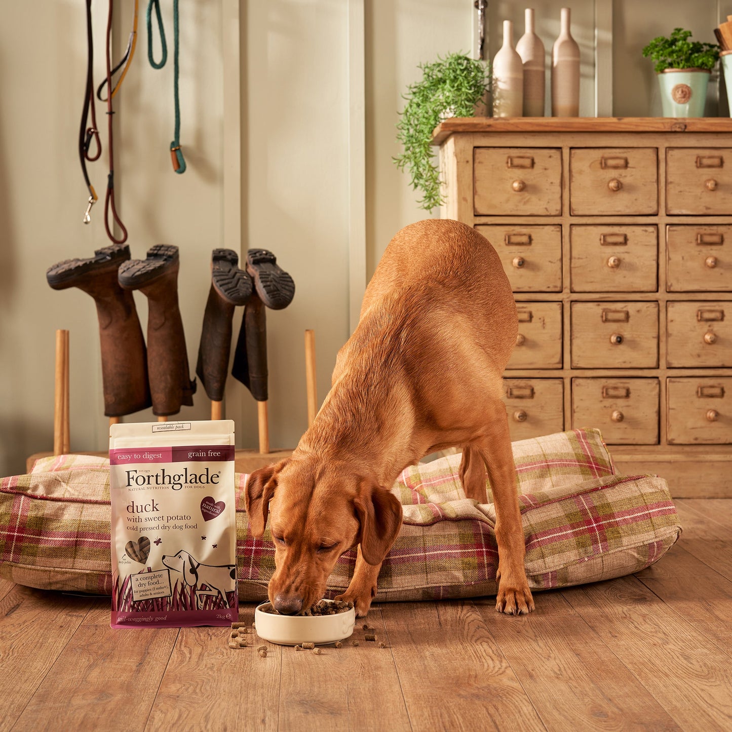Duck Grain Free Cold Pressed Natural Dry Dog Food