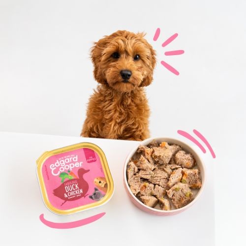 Edgard & Cooper Grain Free Wet Puppy Food with Organic Duck & Chicken 11 x 150g