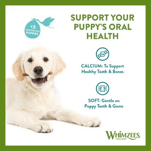 Whimzees Puppy Stixx Value Bag Dog Treats M/L 14 Pack