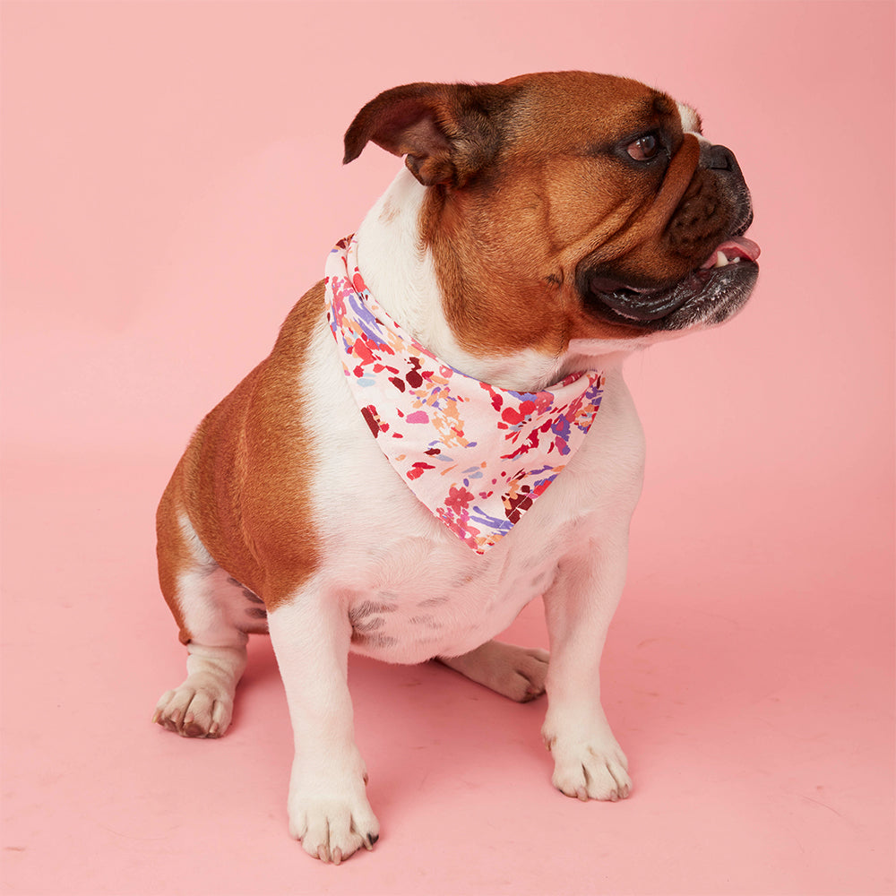 DOG BANDANA - BOLD FLORAL