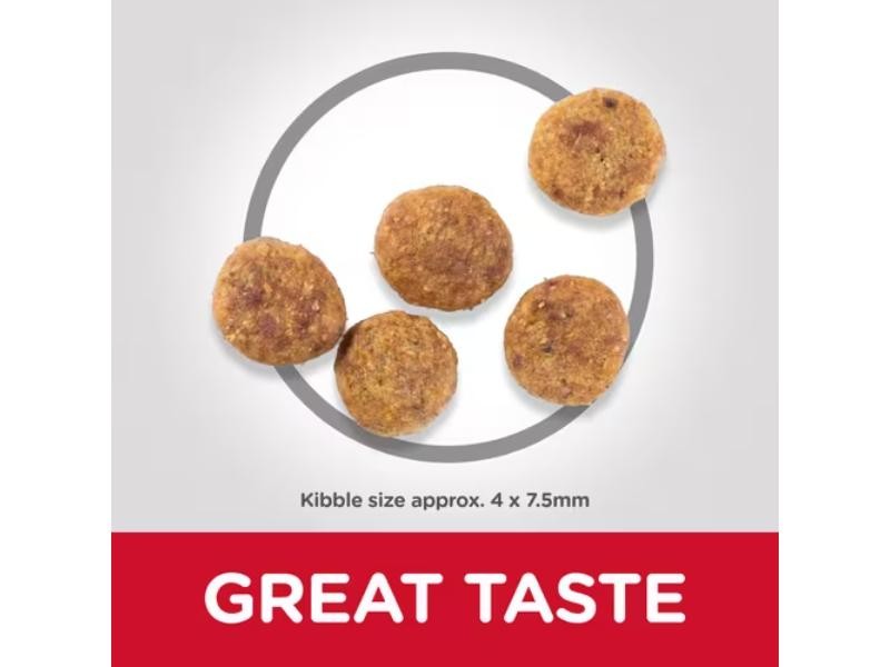 Hill's Science Plan Adult Perfect Weight Small & Mini Dry Dog Chicken 1.5kg
