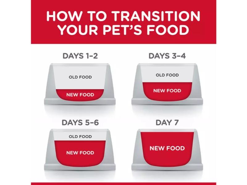 Hill's Science Plan Adult Sensitive Stomach & Skin Medium Dry Dog Chicken 14kg