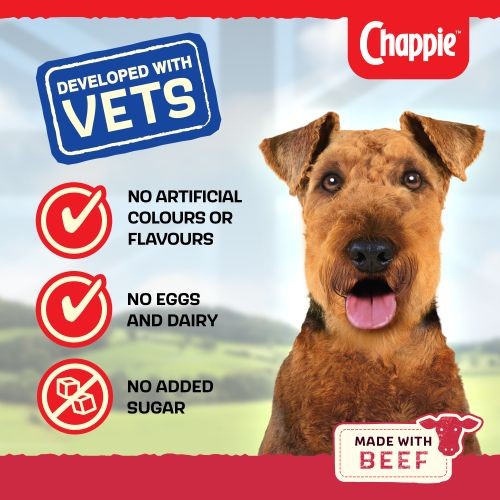 Chappie Dry Dog Food with Beef & Whole Grain Cereal 15kg