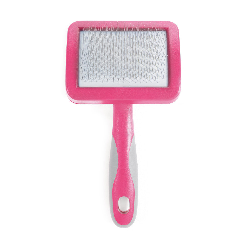 Ancol Ergo Hedgehog Slicker Cat Brush
