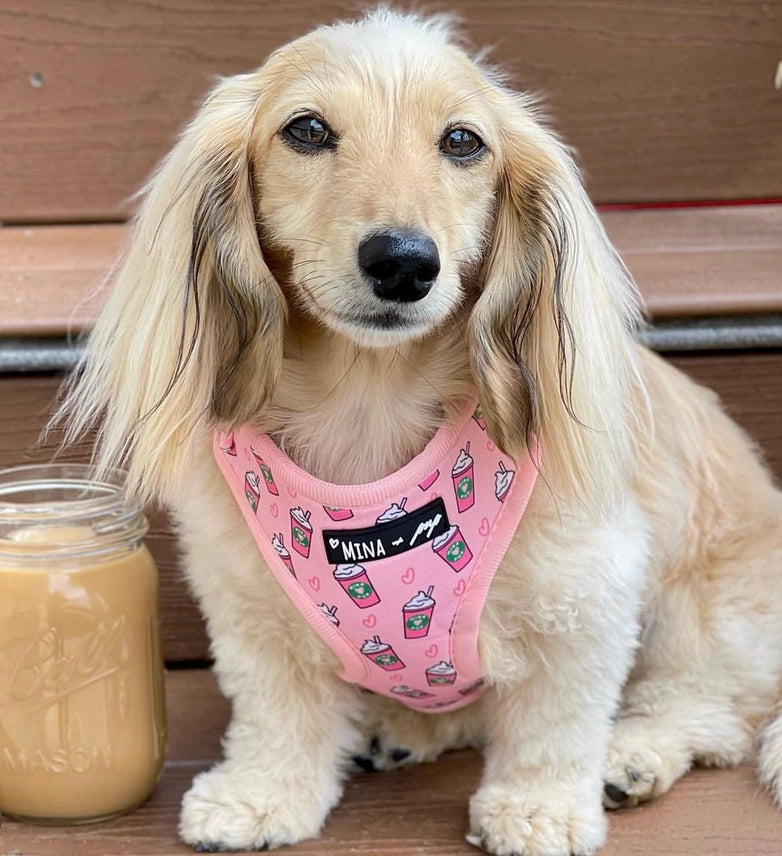 Pink Pupshake Adjustable Dog or Cat Harness
