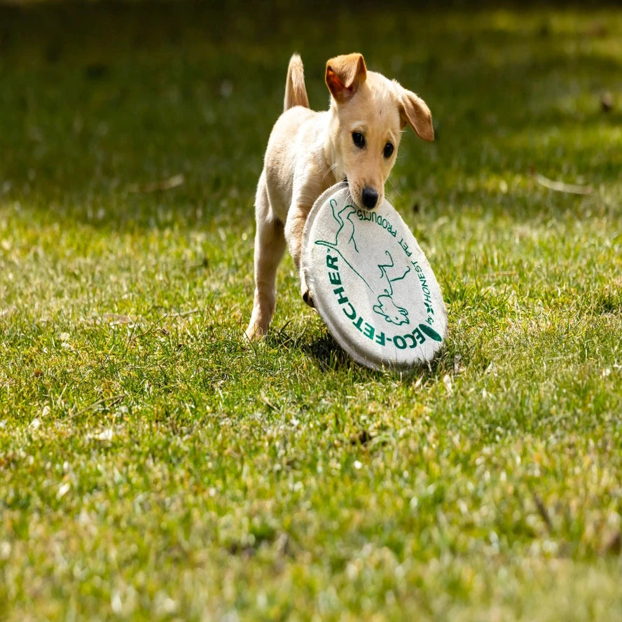 Honest Pet Products Eco-Fetcher Fetch Dog Toy Made in USA