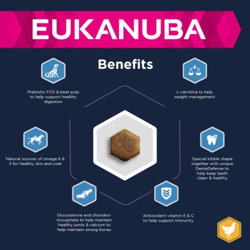 Eukanuba Thriving Mature Dog Food for Medium Breeds with Chicken 2kg
